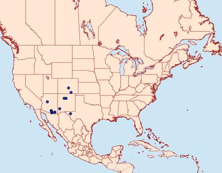 Distribution Data for Grotella blanca