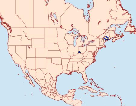 Distribution Data for Elachista enitescens