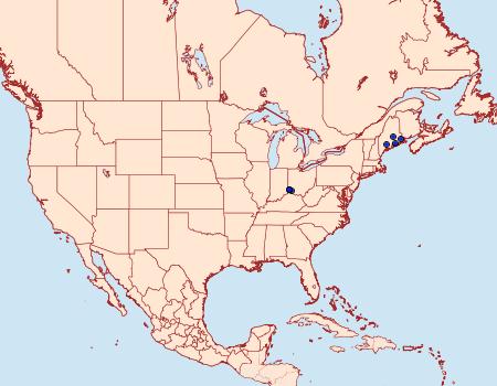 Distribution Data for Elachista argentosa