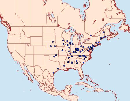 Distribution Data for Elachista illectella