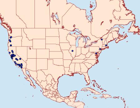 Distribution Data for Symmoca signatella