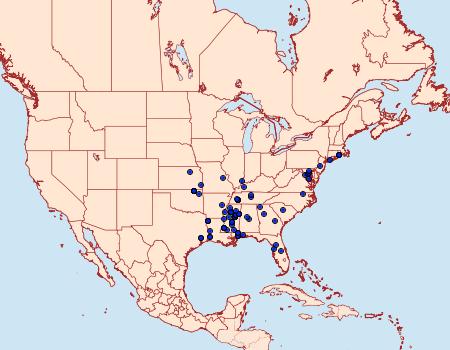 Distribution Data for Spinitibia hodgesi