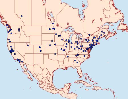 Distribution Data for Oegoconia novimundi