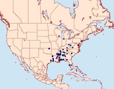 Distribution Data for Glyphidocera juniperella