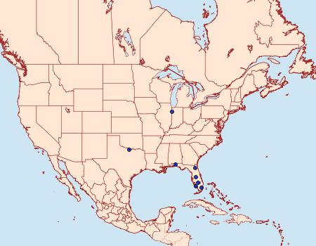 Distribution Data for Glyphidocera barythyma