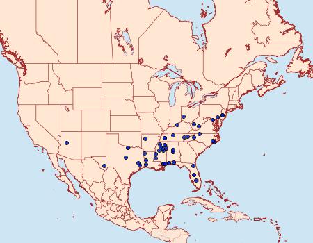 Distribution Data for Glyphidocera democratica