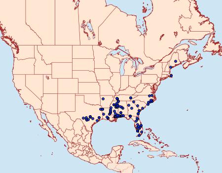 Distribution Data for Glyphidocera lactiflosella