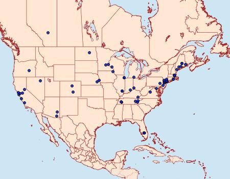 Distribution Data for Glyphidocera septentrionella