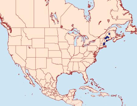 Distribution Data for Hypatopa sagitella