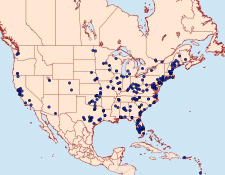 Distribution Data for Blastobasis glandulella