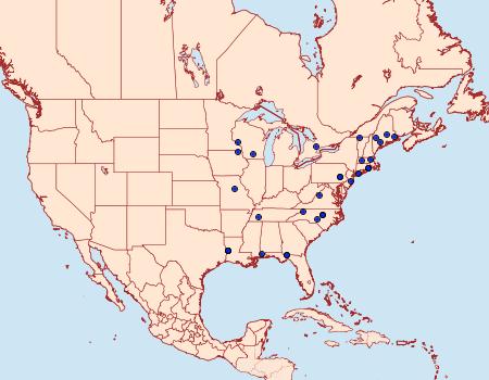 Distribution Data for Blastobasis pulchella