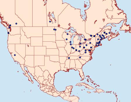 Distribution Data for Asaphocrita aphidiella