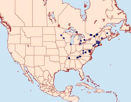 Distribution Data for Asaphocrita busckiella