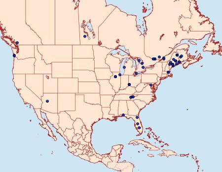 Distribution Data for Holcocera chalcofrontella