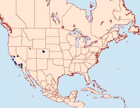 Distribution Data for Holcocera gigantella