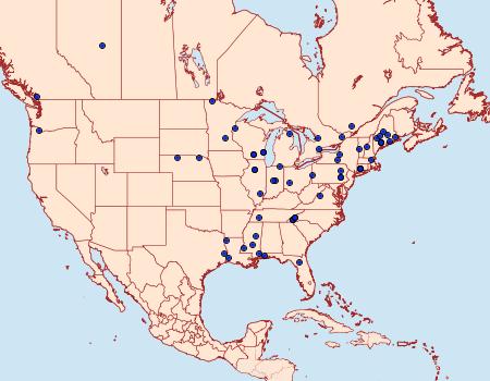 Distribution Data for Pseudopostega cretea