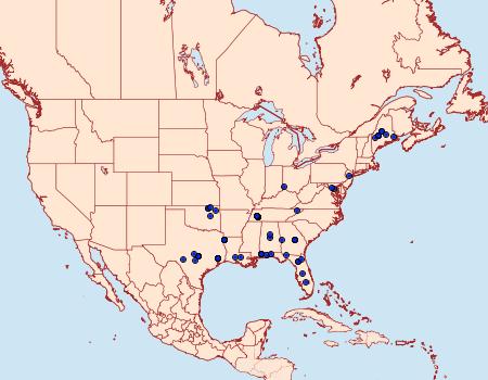 Distribution Data for Hypatopa punctiferella