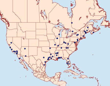 Distribution Data for Pseudopostega albogaleriella