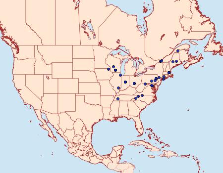 Distribution Data for Hypatopa vestaliella