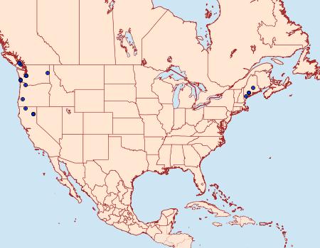 Distribution Data for Pigritia fidella