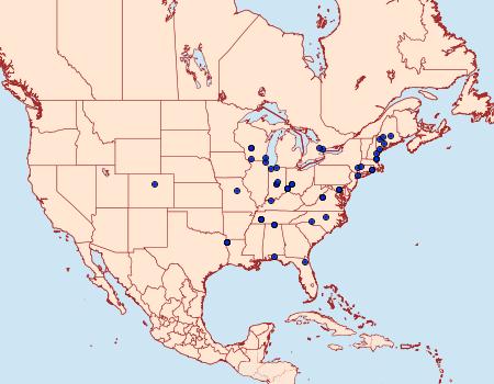 Distribution Data for Pigritia murtfeldtella