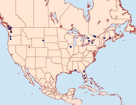 Distribution Data for Opostegoides scioterma