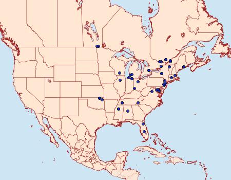 Distribution Data for Coleophora tiliaefoliella