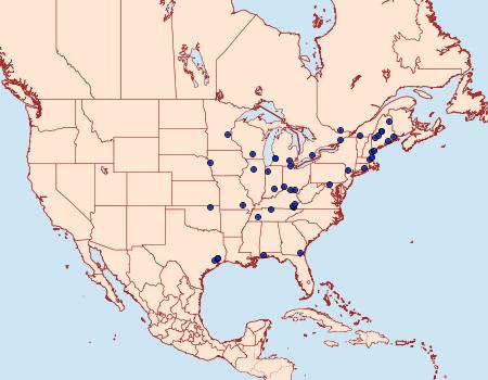 Distribution Data for Coleophora querciella