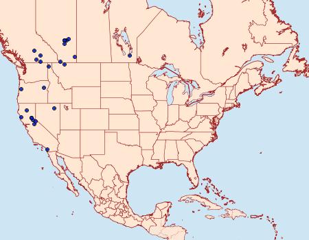 Distribution Data for Coleophora wyethiae