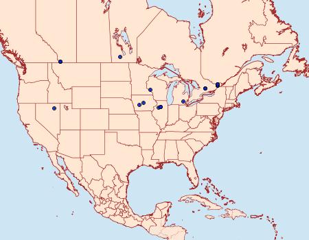 Distribution Data for Coleophora monardella