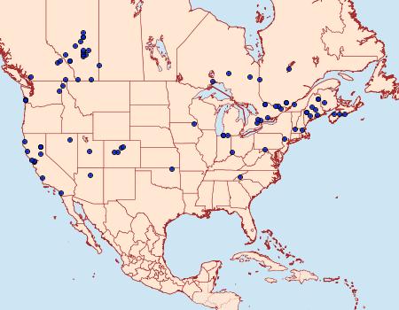 Distribution Data for Coleophora pruniella