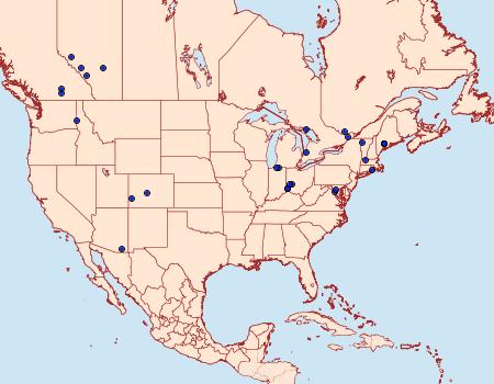 Distribution Data for Coleophora cretaticostella