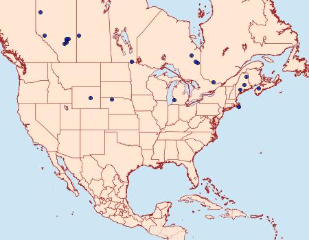 Distribution Data for Coleophora rosacella