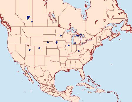 Distribution Data for Coleophora sparsipuncta