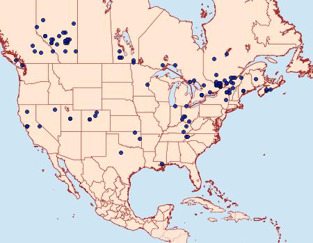 Distribution Data for Coleophora duplicis