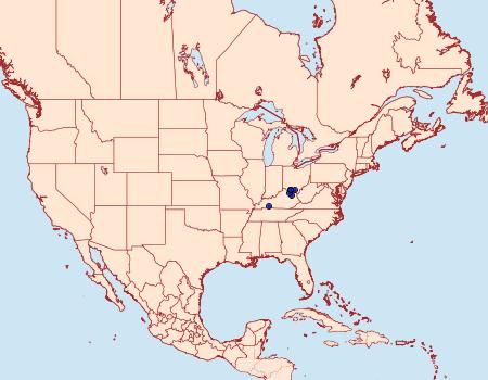 Distribution Data for Coptotriche simulata