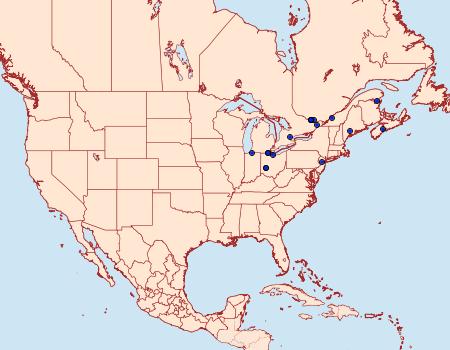 Distribution Data for Coleophora intermediella