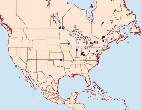 Distribution Data for Coleophora lineapulvella