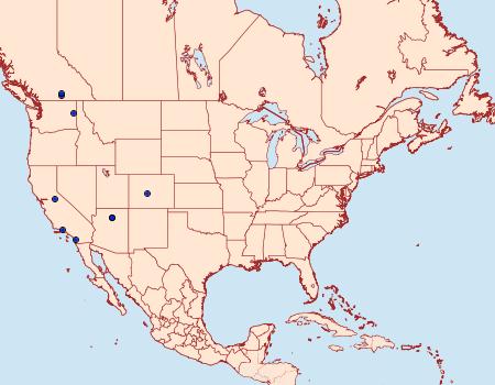 Distribution Data for Coleophora nigrostriata