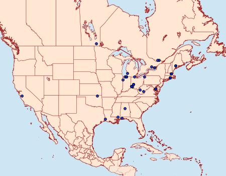 Distribution Data for Coleophora quadrilineella