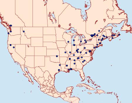 Distribution Data for Coleophora cratipennella