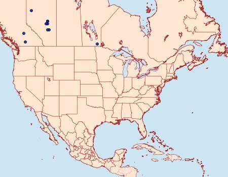 Distribution Data for Coleophora brunneipennis