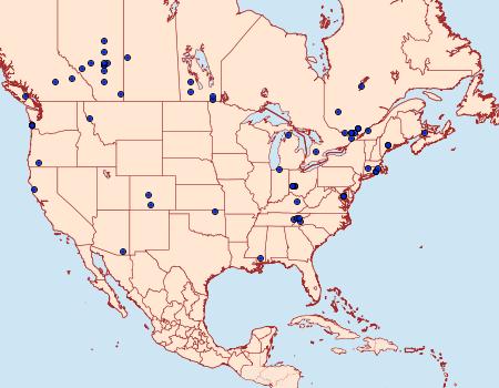 Distribution Data for Coleophora glaucicolella