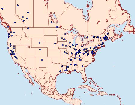 Distribution Data for Coleophora mayrella