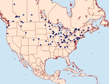 Distribution Data for Coleophora trifolii