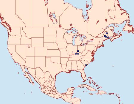 Distribution Data for Coleophora apicialbella