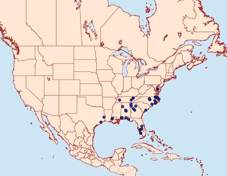 Distribution Data for Homaledra octagonella