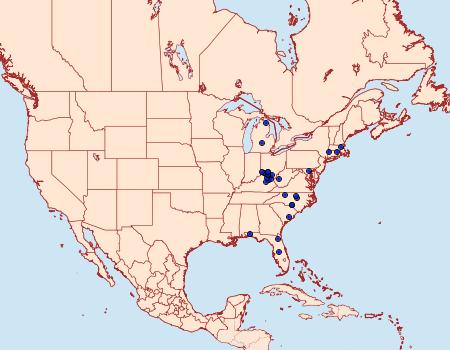 Distribution Data for Coptotriche castaneaeella