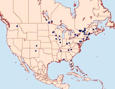 Distribution Data for Mompha brevivittella