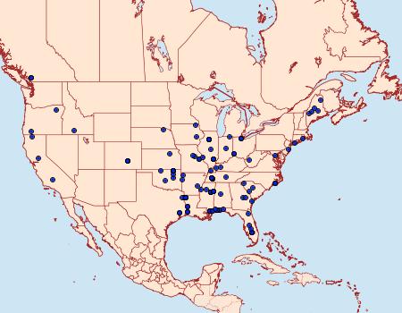 Distribution Data for Mompha circumscriptella